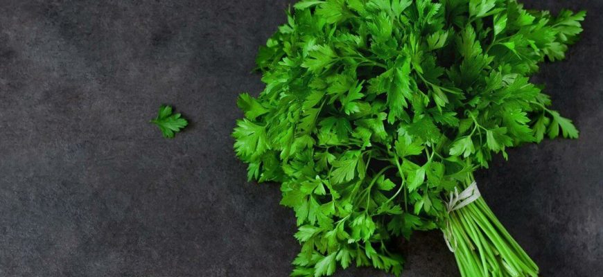 Как приучить себя к зелени и способы ее употребления